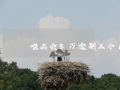 唯品会5万逾期三个月 唯品会5万逾期三个月