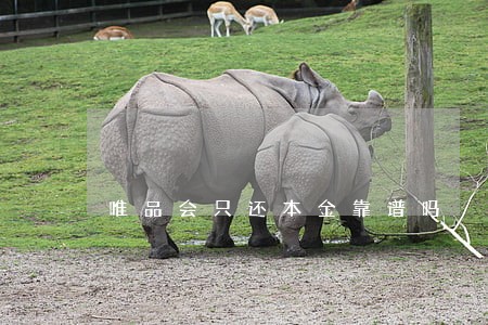 唯品会只还本金靠谱吗 唯品会只还本金靠谱吗
