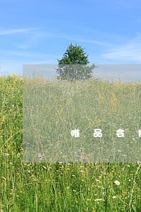 唯品会网贷逾期 唯品会网贷逾期
