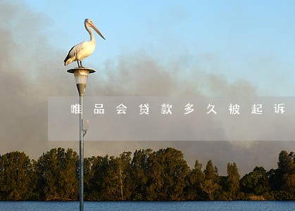唯品会贷款多久被起诉逾期 唯品会贷款多久被起诉逾期