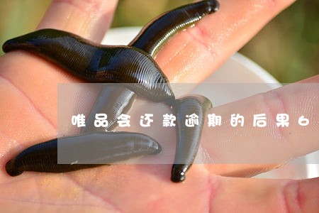 唯品会还款逾期的后果6 唯品会还款逾期的后果6