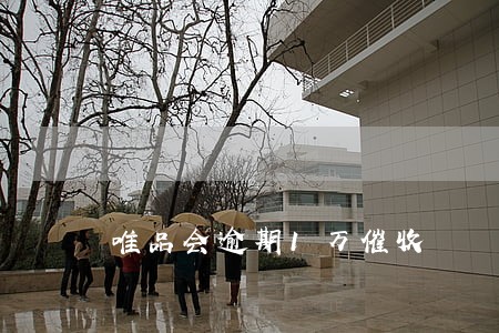 唯品会逾期1万催收 唯品会逾期1万催收