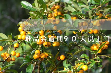 唯品会逾期90天说上门 唯品会逾期90天说上门