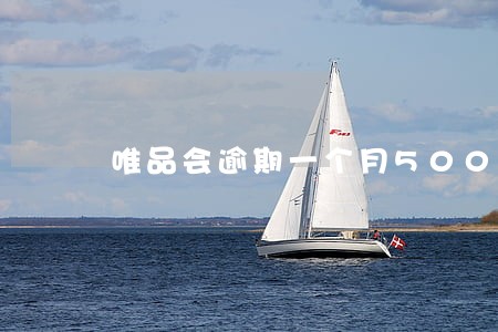 唯品会逾期一个月500 唯品会逾期一个月500