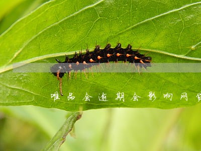 唯品会逾期会影响网贷么 唯品会逾期会影响网贷么