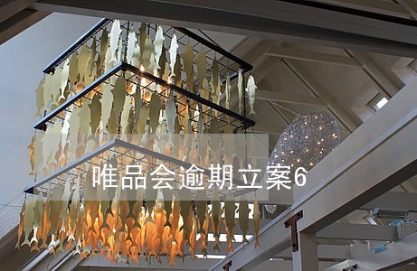 唯品会逾期立案6 唯品会逾期立案6
