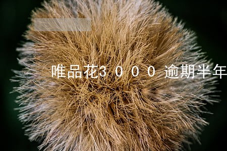唯品花3000逾期半年说要仲裁