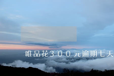 唯品花300元逾期七天 唯品花300元逾期七天