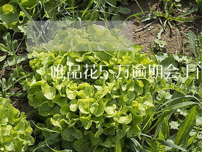 唯品花5万逾期会上门吗 唯品花5万逾期会上门吗