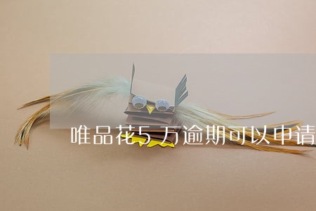 唯品花5万逾期可以申请分期吗 唯品花5万逾期可以申请分期吗