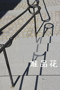 唯品花只还本金 唯品花只还本金