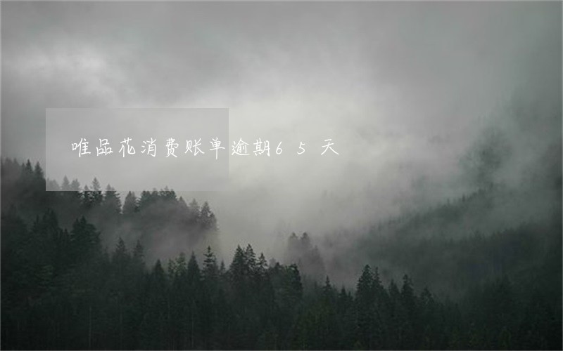 唯品花消费账单逾期65天 唯品花消费账单逾期65天