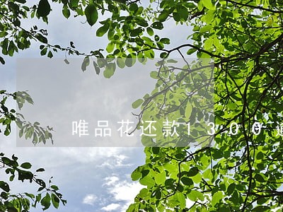 唯品花还款1300逾期一个月 唯品花还款1300逾期一个月