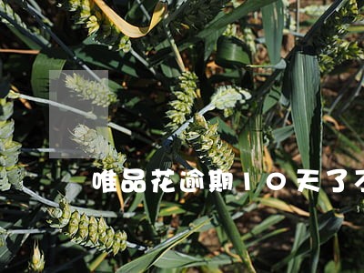 唯品花逾期10天了不打电话催了 唯品花逾期10天了不打电话催了