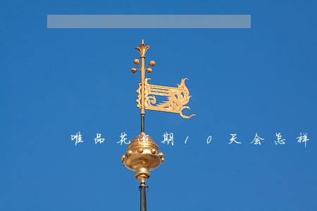 唯品花逾期10天会怎样6 唯品花逾期10天会怎样6
