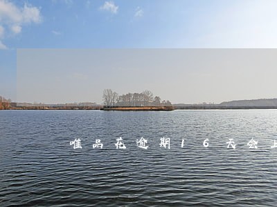 唯品花逾期16天会上征信吗 唯品花逾期16天会上征信吗