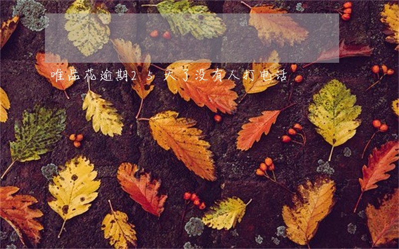 唯品花逾期25天了没有人打电话 唯品花逾期25天了没有人打电话