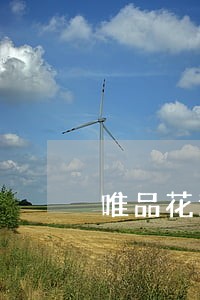 唯品花逾期2个多月会上征信吗 唯品花逾期2个多月会上征信吗
