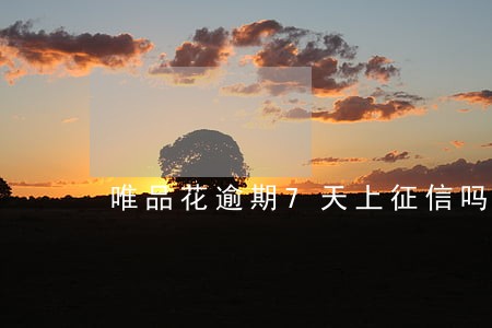 唯品花逾期7天上征信吗 唯品花逾期7天上征信吗