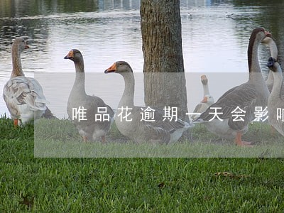 唯品花逾期一天会影响信用记录吗