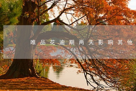 唯品花逾期两天影响其他网贷吗