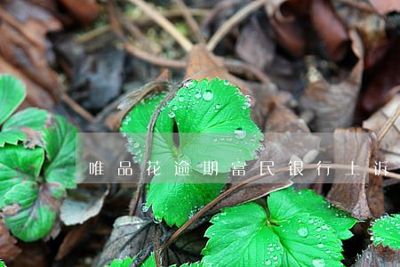 唯品花逾期富民银行上诉