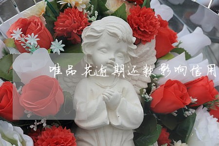 唯品花逾期还款影响信用吗 唯品花逾期还款影响信用吗