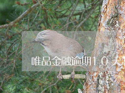 唯品金融逾期10天怎么办 唯品金融逾期10天怎么办