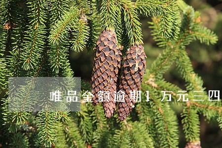 唯品金额逾期1万元三四天 唯品金额逾期1万元三四天