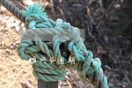 唯网贷逾期 唯网贷逾期