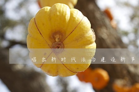 唱出新时代法治建设新声音 唱出新时代法治建设新声音