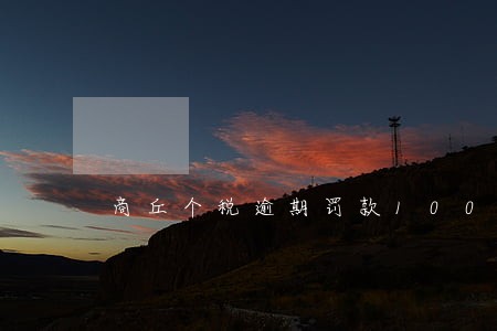 商丘个税逾期罚款10000元 商丘个税逾期罚款10000元