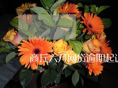 商丘六万网贷逾期起诉立案标准 商丘六万网贷逾期起诉立案标准