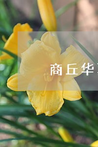 商丘华夏路与南京路有违法拍照吗 商丘华夏路与南京路有违法拍照吗
