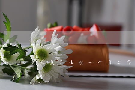 商丘夏邑法院一个月工资多少钱 商丘夏邑法院一个月工资多少钱