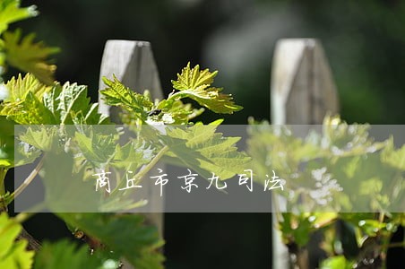 商丘市京九司法 商丘市京九司法