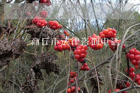 商丘市法律咨询电话 商丘市法律咨询电话