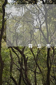 商丘市法院宁中正 商丘市法院宁中正