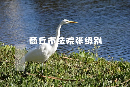 商丘市法院张级别