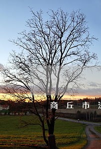 商丘市法院执行人员
