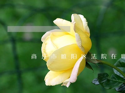 商丘市睢阳区法院在哪儿 商丘市睢阳区法院在哪儿