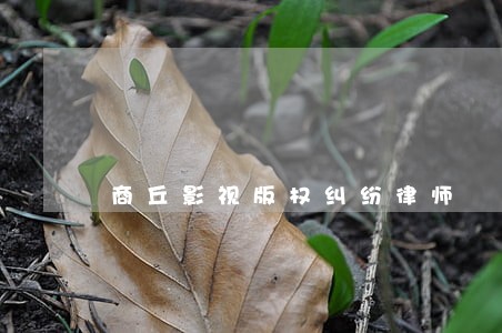 商丘影视版权纠纷律师 商丘影视版权纠纷律师