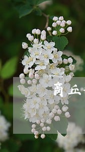商丘律师事务所房地产 商丘律师事务所房地产