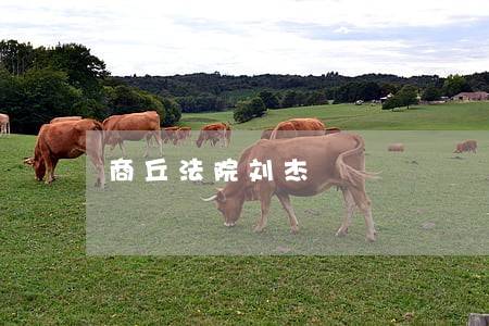 商丘法院刘杰