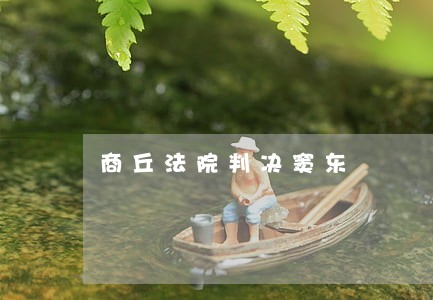 商丘法院判决窦东 商丘法院判决窦东