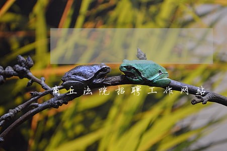 商丘法院招聘工作网站 商丘法院招聘工作网站