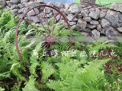 商丘睢阳区法院几点