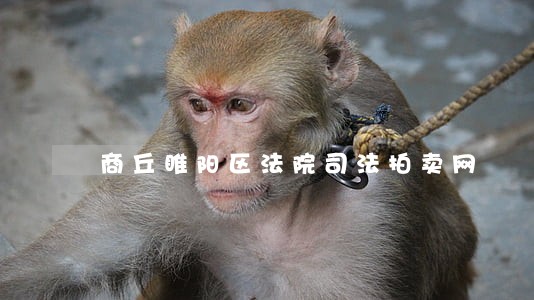 商丘睢阳区法院司法拍卖网 商丘睢阳区法院司法拍卖网