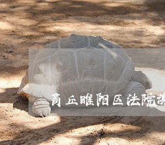 商丘睢阳区法院谢飞 商丘睢阳区法院谢飞