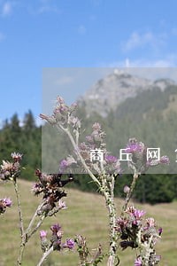 商丘网贷逾期债务优化怎么收费 商丘网贷逾期债务优化怎么收费